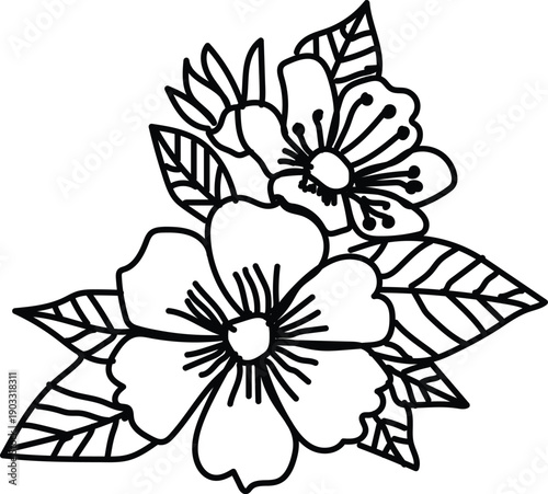 vector illustration of a flower
