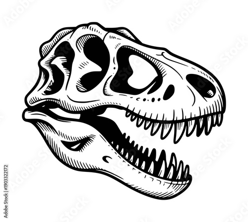 Black and white of a dinosaur skull with open jaw and sharp teeth fossil prehistoric