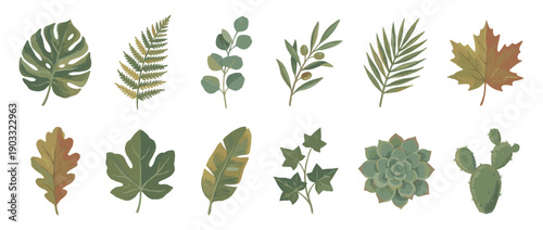 Beautiful collection of various plant leaves and succulents, featuring monstera, fern, eucalyptus, and cactus, rendered in a charming, painterly digital illustration style with earthy tones