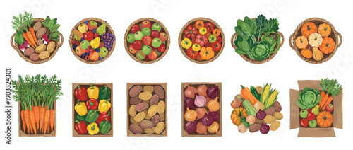 Large collection of illustrated fresh vegetables and fruits in wicker baskets and wooden crates, showing a bountiful harvest of produce viewed from a top-down perspective