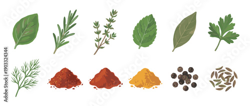 Collection of fresh herbs and dried spices including basil, rosemary, thyme, paprika, turmeric, and peppercorns, presented as a detailed culinary vector illustration set