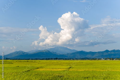 Expansive green rice paddies stretch toward a range of blue mountains under a dramatic sky filled with towering white clouds near Dien Bien Phu. Bright sunlight enhances the vivid landscape and open