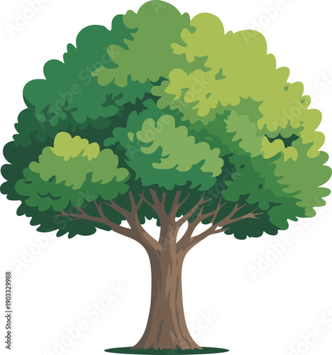 Green leafy tree illustration, sturdy trunk with layered lush canopy, natural forest botanical element for landscape design isolated white background