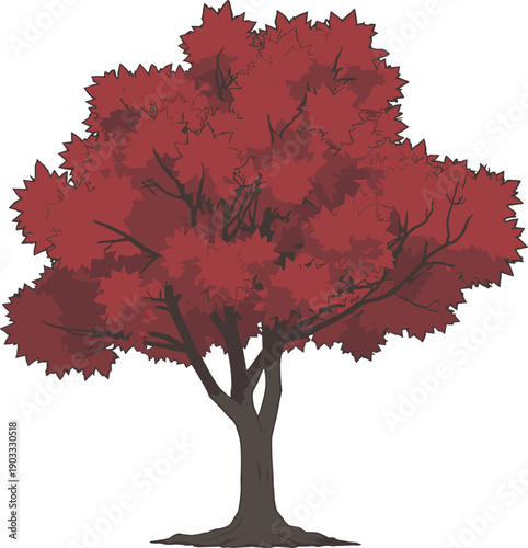 Red autumn tree illustration, detailed maple foliage with dense canopy branches, seasonal nature artwork isolated on white background