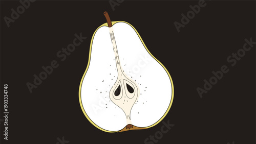 Cross-section of a fresh pear showing the white flesh and seeds in a detailed hand-drawn style on a dark background.