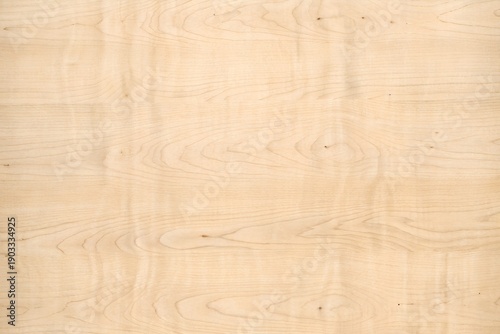 Tableau sur toile premium natural light birch wood grain texture background
