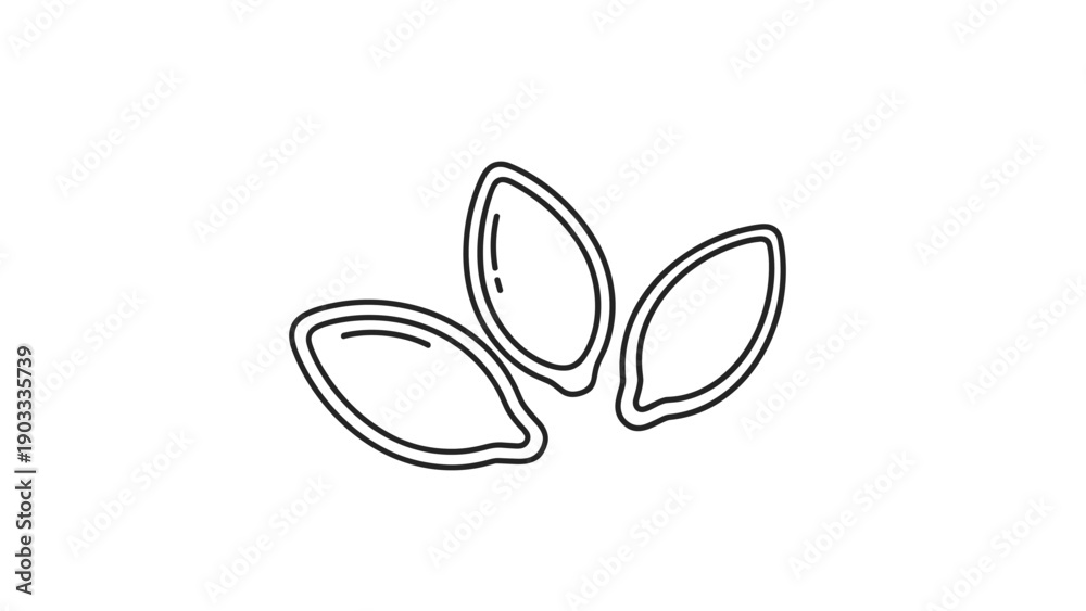 Fototapeta premium Simple black and white line drawing depicts three seeds from a pumpkin or squash arranged in a group on white.