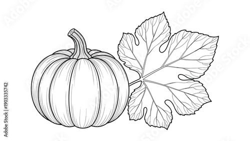 Detailed vintage engraving style illustration shows a whole pumpkin with its stem next to a large textured leaf.