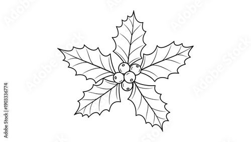 Classic black and white line drawing of a holly sprig with several characteristic pointed leaves and a central cluster of berries.