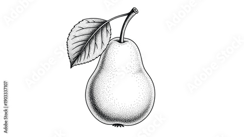 Detailed black and white stippled illustration of a whole pear with a single leaf on a curved stem against a white background.