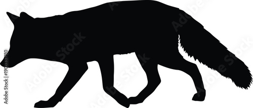 Elegant Silhouette of a Fox Walking - Perfect for Nature and Wildlife Designs