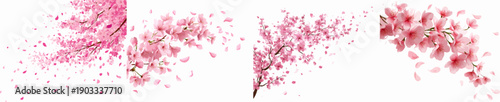 Elegant Blossoms: Cherry Tree Petals in Motion