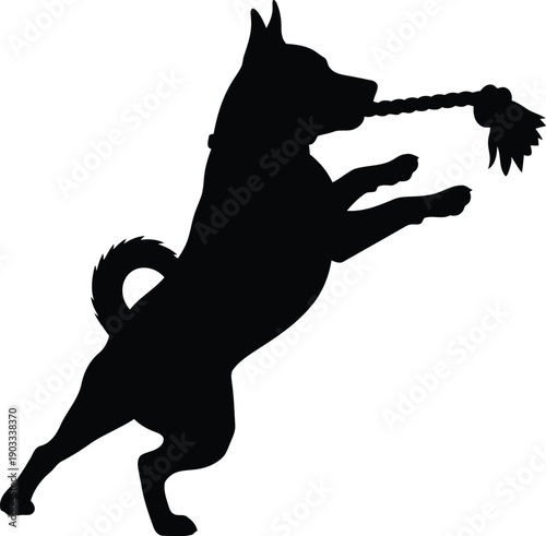 Playful Silhouette of a Dog Jumping with a Toy Rope in a Dynamic Pose