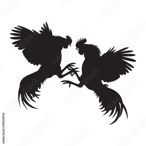 Silhouette of chickens fighting against a white background