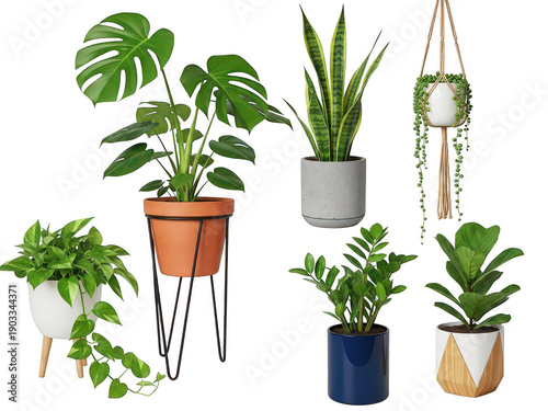 Collection of indoor plants in various pots isolated on transparent background