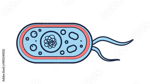Stylized depiction of a bacterium with flagella, featuring internal details and a salmon pink and blue color scheme.