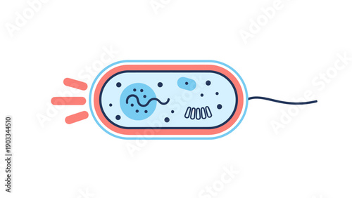 Stylized bacterium with flagellum and internal structures, scientific graphic on white background