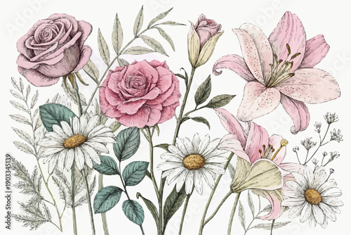 Colorful illustration of roses lilies daisies flowers and leaves on white background