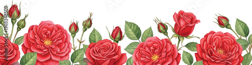 Elegant watercolor illustration of vibrant red roses and delicate rosebuds forming a beautiful floral border on a clean white background.