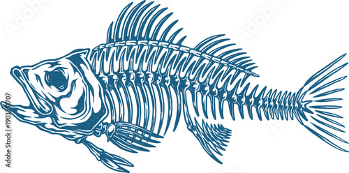 Bass Fish Skeleton Illustration Hand Drawn, Vintage Fish Bones Design, Aquatic Vector Art