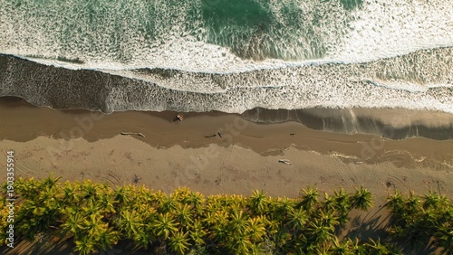 Wallpaper Mural Drone top view of ocean surf meeting sandy palm coast at sunrise in Costa Rica. Torontodigital.ca