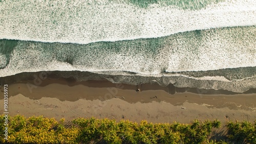 Wallpaper Mural Top down view of tropical sandy coastline with palm trees and foamy ocean waves. Torontodigital.ca