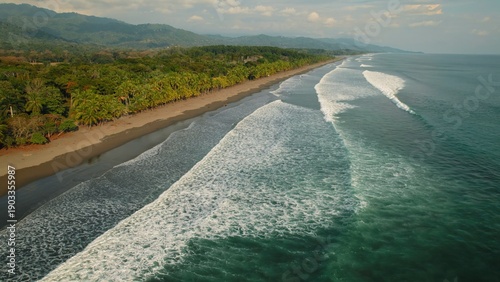 Wallpaper Mural Endless sandy coastline with palm forest and turquoise ocean waves from above. Torontodigital.ca