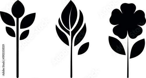 Vector illustration set of black and white plant and flower silhouettes featuring natural leaf designs and floral foliage elements for eco-friendly organic art and summer garden decoration