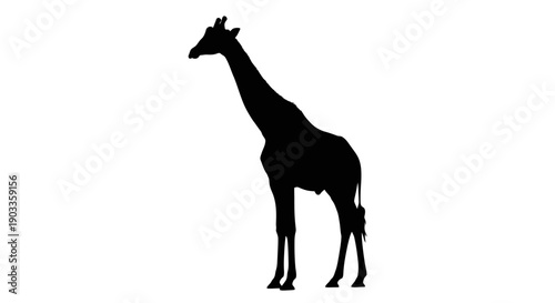 black giraffe silhouette standing isolated