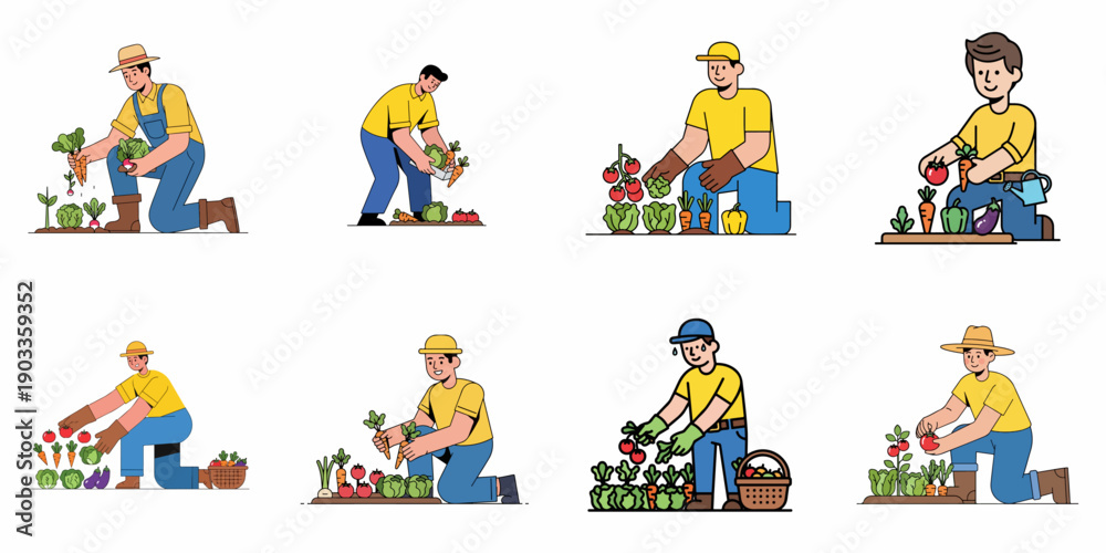 Fototapeta premium Set of eight flat outline vector illustrations depicting men harvesting various fresh organic vegetables and crops from a home garden or farm.