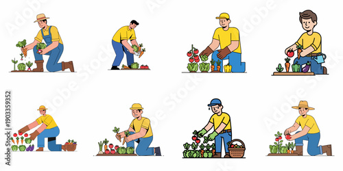 Set of eight flat outline vector illustrations depicting men harvesting various fresh organic vegetables and crops from a home garden or farm.