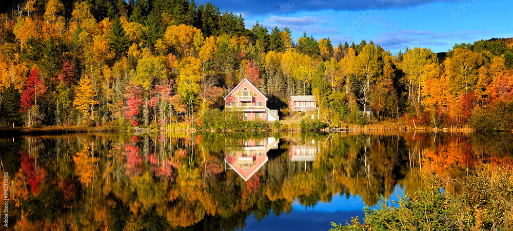 Obraz premium Autumnal colors in the forest near Saint Siméon, Canada, Quebec