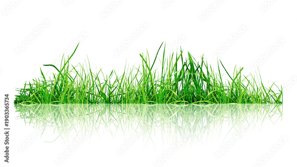 Fototapeta premium Fresh grass with mirrored reflection symbolizing nature and growth