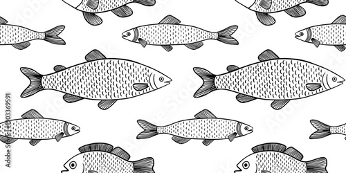Sardine, trout, dorado, sea bass seamless pattern. Hand drawn fish pattern sketch on white background