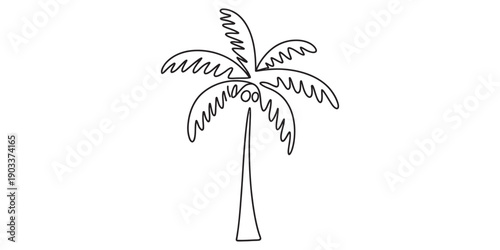 Simple black and white line drawing of a tropical palm tree with coconuts on a plain background. Vector, illustration