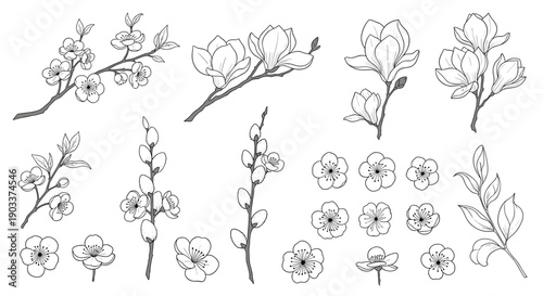 A collection of hand-drawn spring blossoms, including cherry, magnolia, and pussy willow branches, in a delicate, stippled sketch style.
