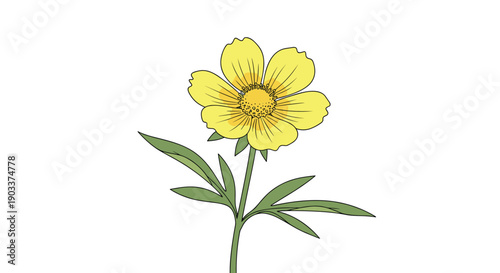 Delicate botanical illustration of a single yellow potentilla, or cinquefoil, wildflower with green leaves, in a vintage hand-drawn style.