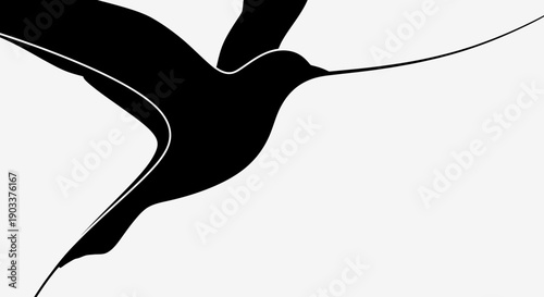 flying bird silhouette