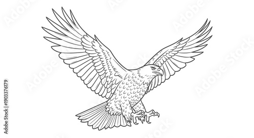 flying eagle with outstretched wings