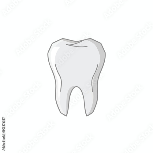 Illustration of a Tooth