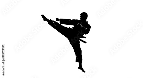 karate man kicking in mid air
