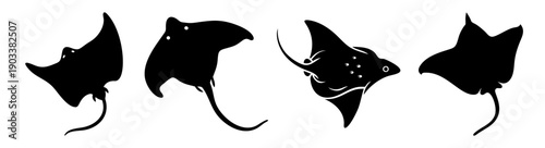 Black stingray silhouette swimming underwater with elegant motion isolated on white background