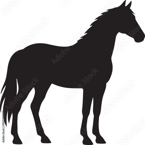 horse silhouette, pure black vector, white background