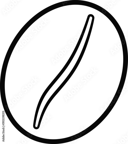 Simple line drawing of a coffee bean