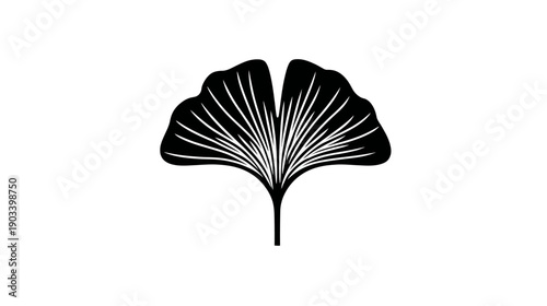 A simple, symmetrical, black and white representation of a ginkgo leaf against a white background
