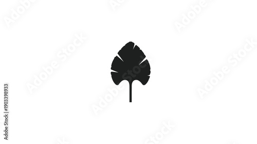 A black, stylized leaf silhouette on a stark white background. Simple and elegant design