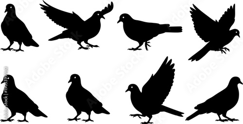Collection of various bird silhouettes in different poses