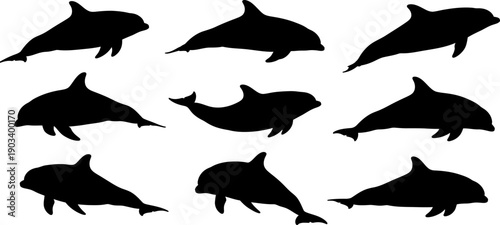 Collection of various whale silhouette profiles against a white background