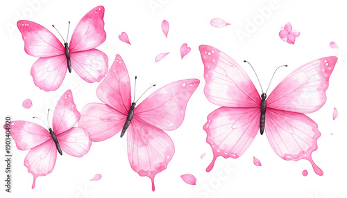 Watercolor illustration of pink butterflies with petals on a transparent black background