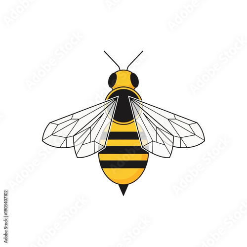 Detailed illustration of a honey bee.